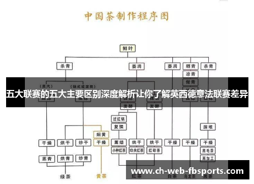 五大联赛的五大主要区别深度解析让你了解英西德意法联赛差异