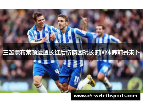 三笘薰布莱顿遭遇长红后伤病困扰长时间休养前景未卜